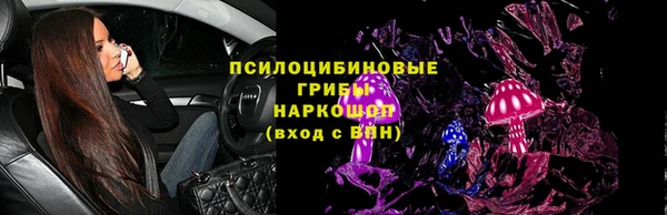 spice Алексин