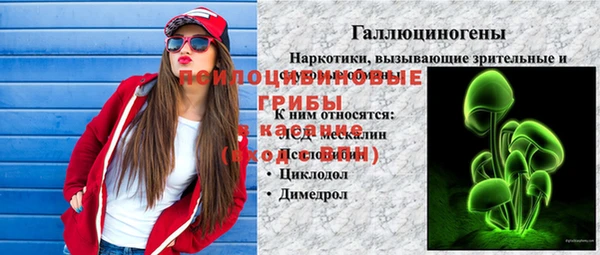 гидра Алексеевка