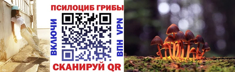Галлюциногенные грибы Cubensis  Петрозаводск 